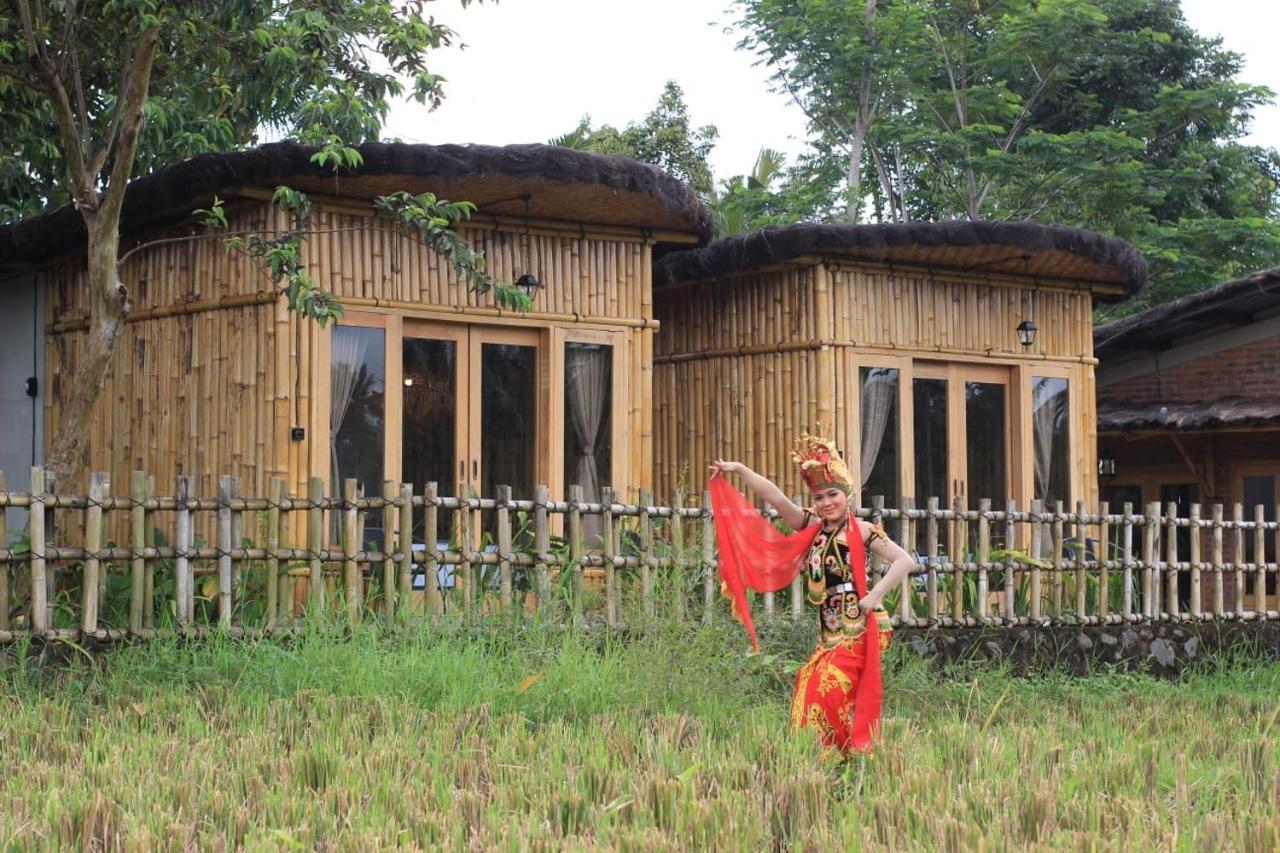 Hotel Sawah Ijen Licin Exterior foto
